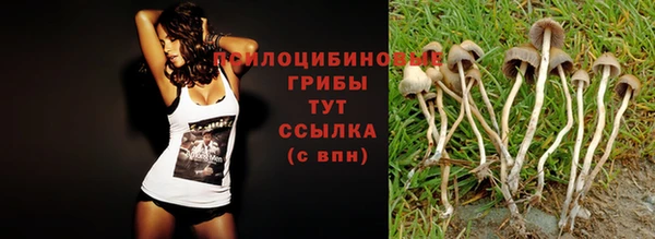ECSTASY Алексеевка